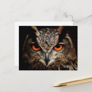Omhoog Sluiten met Oranje ogen Briefkaart