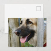 omhuld briefkaart (Voorkant / Achterkant)