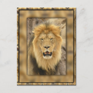 omhuld lion briefkaart