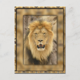 omhuld lion briefkaart