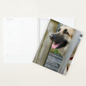 omhuld planner (Display)