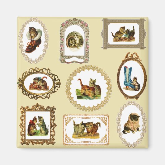 omhulde katten magneet (Voorkant)