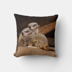 Omkeerbare Meerkats op een piloot Kussen
