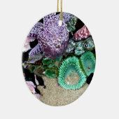 Omlaag door de kerstversiering van het Zee Keramisch Ornament (Rechts)