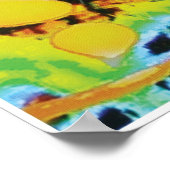 Omlette KC Afbeelding Poster (Hoek)