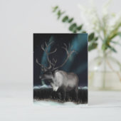 Omloop van het Briefkaart van de noordelijke licht (Staand voorkant)