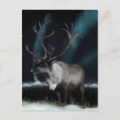 Omloop van het Briefkaart van de noordelijke licht (Voorkant)