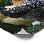 Omringd door het Poster van de waterkoeler (Hoek)