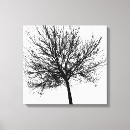 Omtrek van een boom canvas afdruk