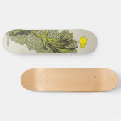 omvang skateboard (Horizontaal)