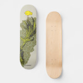 omvang skateboard (Voorkant)