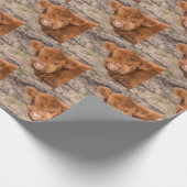 Omwikkeling van hobbykoe cadeaupapier (Hoek)