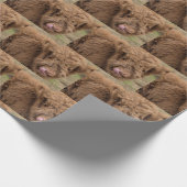 Omwikkeling van hobbykoe cadeaupapier (Hoek)