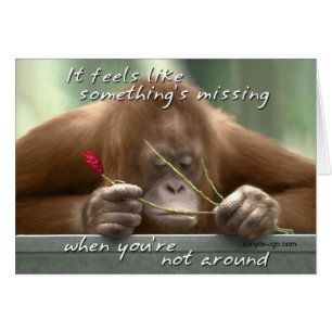 On dirait qu'il manque une carte