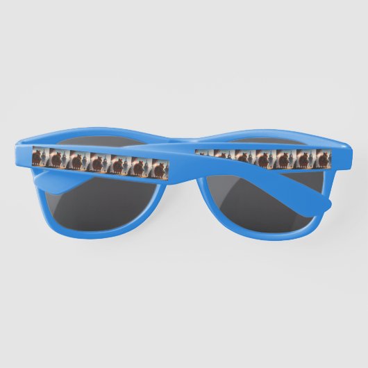 On M'Appelle M. Quokka, Lunettes De Soleil (Dos)