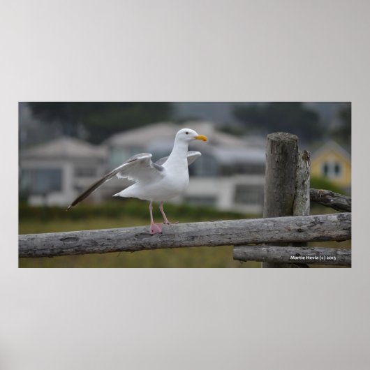 On the Fence II - Poster/Afdrukken Poster (Voorkant)