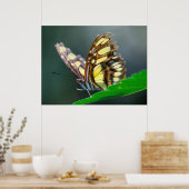 On the Green Poster (Keuken)