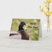 On va manquer ta carte de canard (Fleur jaune)