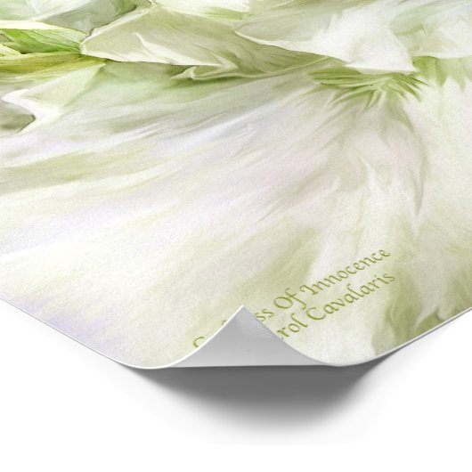 Onaangename Iris Art Poster/Afdruk Poster (Hoek)