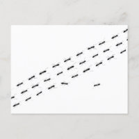 Onafhankelijke Ants