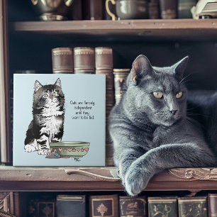 Onafhankelijke grijze tabby blauwe schattige grapp tegeltje