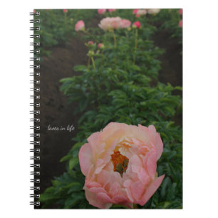 Onafhankelijke roze pioen notitieboek