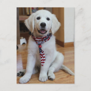 Onafhankelijkheidsdag 4 juli briefkaart