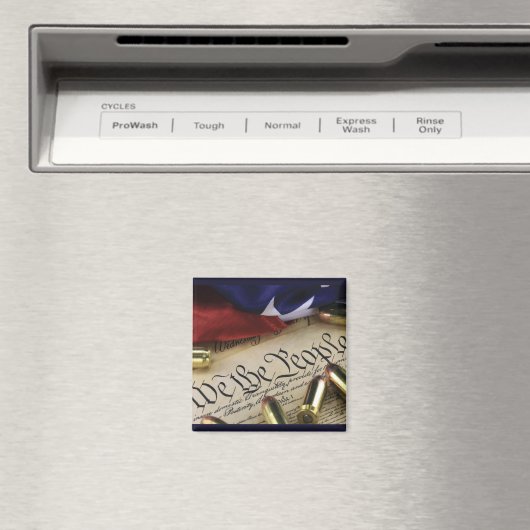 Onafhankelijkheidsverklaring Magneet (Insitu (Vaatwasser))