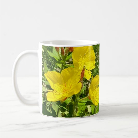 Onagre du soir, mug papillon machaon ©️dh26 (Gauche)