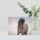 Onaqui Wild Horses Briefkaart (Staand voorkant)