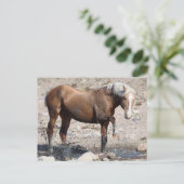 Onaqui Wild Horses Briefkaart (Staand voorkant)