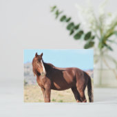 Onaqui Wild Horses Briefkaart (Staand voorkant)