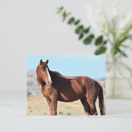 Onaqui Wild Horses Briefkaart (Staand voorkant)