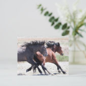 Onaqui Wild Horses Briefkaart (Staand voorkant)