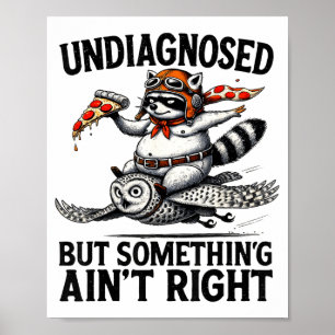 Onbekende Soing Klopt Niet Grappige Wasbeer Zza Ui Poster