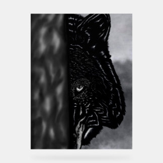 Onbevreesd Toekijken – Met de Hand Getekende Wolf Acryl Bord