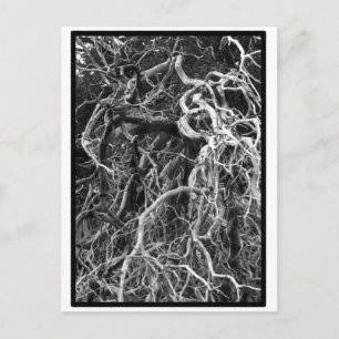 Onbewerkt Briefkaart