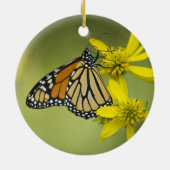 Onbewerkte zuiverheid keramisch ornament (Achterkant)