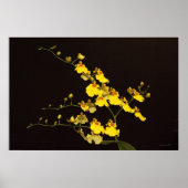 Onc Poster d'art orchidée jaune -60x40 -ou plus pe (Devant)