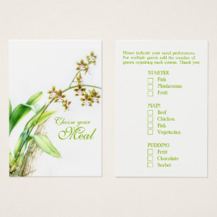 Oncidium Leucochilum orchidée vert