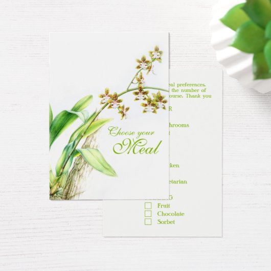 Oncidium Leucochilum orchidée vert (Bureau)