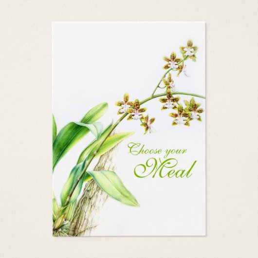 Oncidium Leucochilum orchidée vert (Devant)