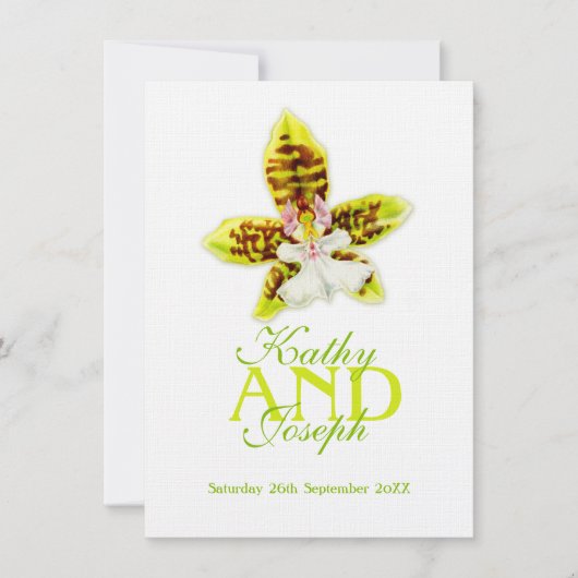 Oncidium Leucochilum orchidée vert invitation (Devant)