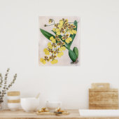 Oncidium Marshallianum Orchidee Flower Poster (Keuken)