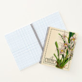  Oncidium Naevium Orchid Notitieboek (Binnen)