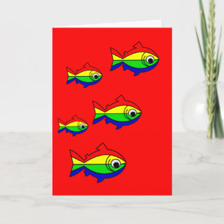 Oncor Hynchus Mykiss - Raibow Trout Kaart