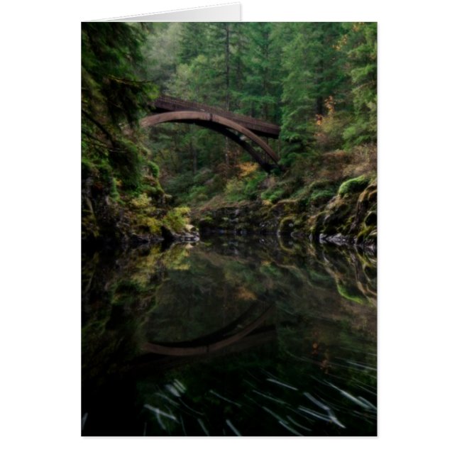 Onder de brug (Voorkant)