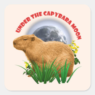Onder de Capybara-maan Grappige Capybara Vierkante Sticker