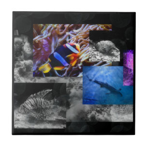 Onder de Ceramiektegel van het Zee Tegeltje