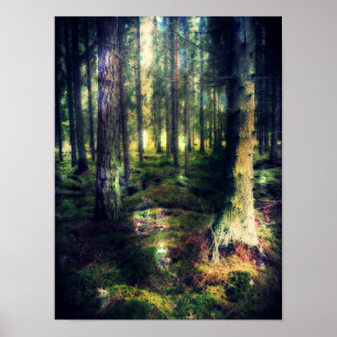 Onder de Fairies Poster